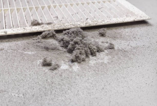 Best Home Air Vent Cleaning  in Nanuet, NY